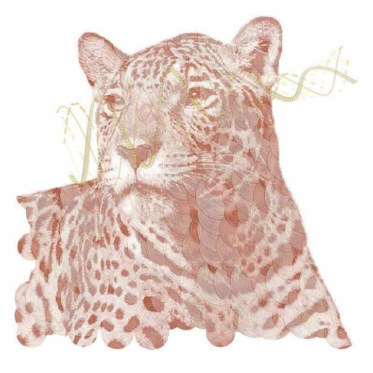 Panther Var Line Path 800x800
